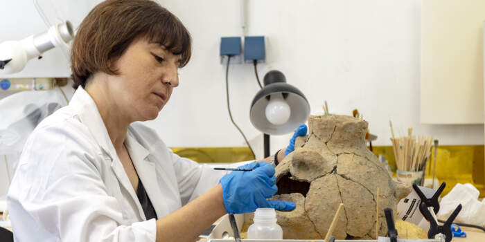 Interner Verweis: Erfurts archäologische Schätze werden ab Februar 2025 präsentiert