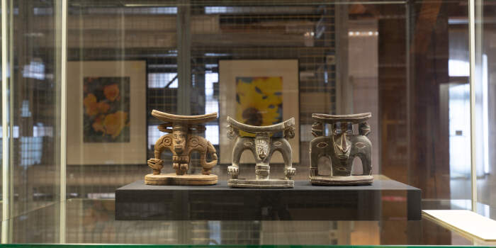 : Führung im Schaudepot des Benary-Speichers