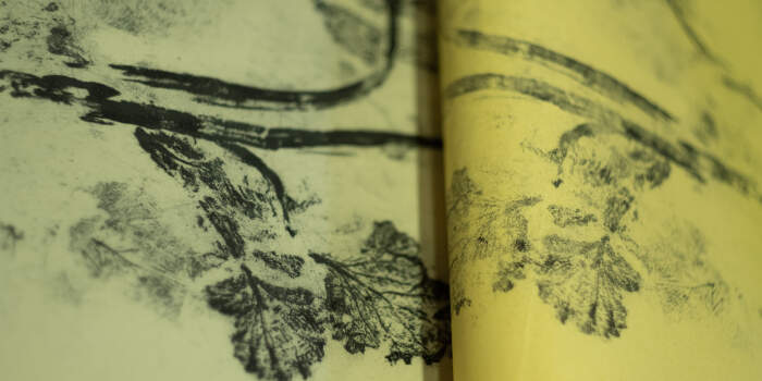 : Führung zur Nutzung des Samenspeichers als Druckereimuseum und Schaudepot